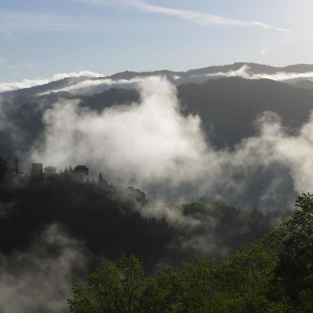 Vinco Bed & Breakfast Castel del Rio Екстериор снимка