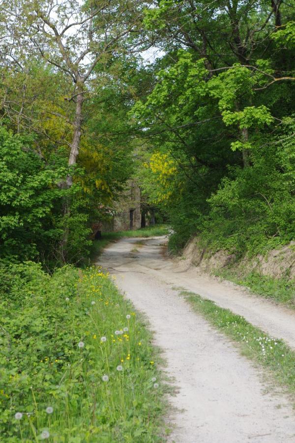 Vinco Bed & Breakfast Castel del Rio Екстериор снимка